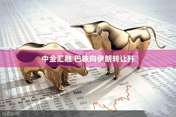 中金汇融 巴铁向伊朗转让歼